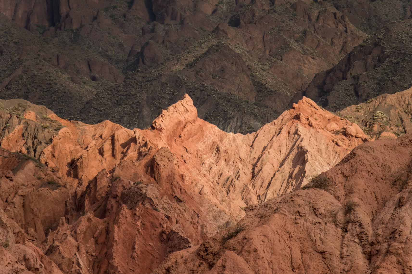 20140126_CalchaquiesValley_0031