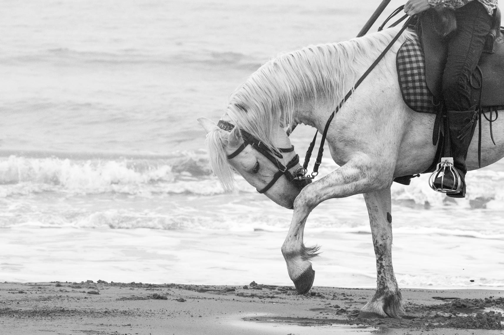 Easton_Beach-975