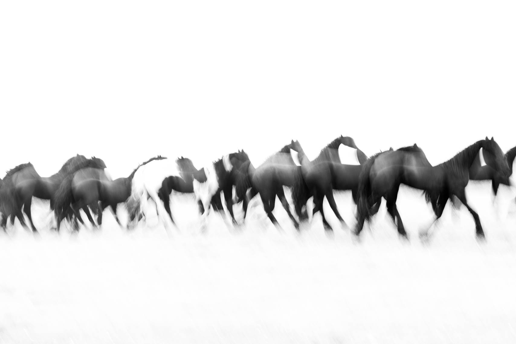 untitled-1230